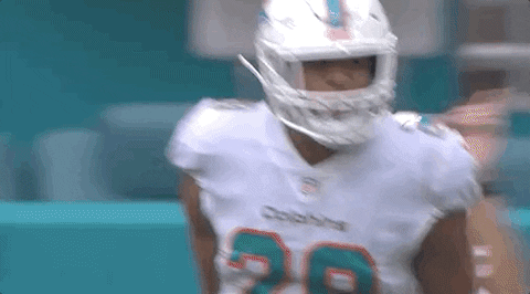 Miami Football GIF by Miami Dolphins