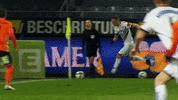 Goal Bundesliga GIF by SK Sturm Graz