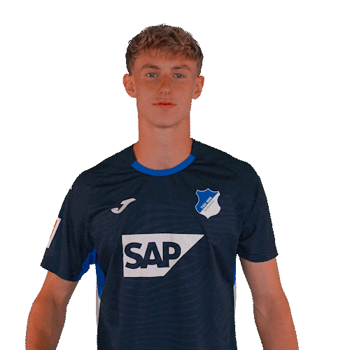 Sport Bundesliga Sticker by TSG Hoffenheim