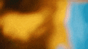 Flowers Spinning GIF by Easy Life