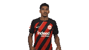 Eintracht Frankfurt Wow Sticker by Bundesliga