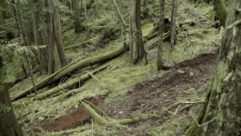 builder GIF by EchoBoom Sports