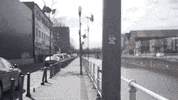 stickers album GIF by COLORS Sneakers