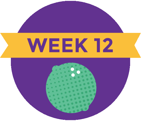 Pregnancy Baby Size Sticker by What to Expect