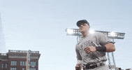 Aaron Judge Baseball GIF by MLB