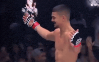 Ufc Aze GIF