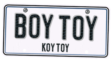 Auto License GIF by koytoyboy
