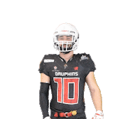 Football Nfl Sticker by Les Dauphins de Nice