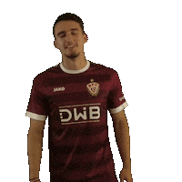 Goal Handzeichen Sticker by BFC Dynamo