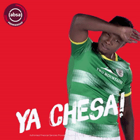 south african soccer GIF