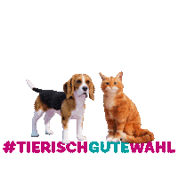 Krebs Sticker by Felix Burda Stiftung