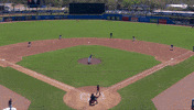 Leaping Blue Jays GIF by Toronto Blue Jays