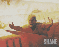 Big Bash Cricket GIF by Madman Films