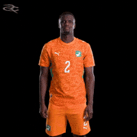 Fifa World Cup Elephants GIF by Respective