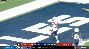 New England Patriots Football GIF by NFL
