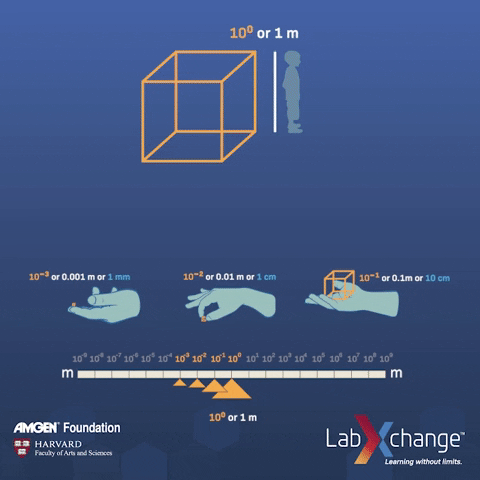 labxchange science orange math sugar GIF