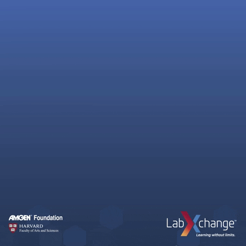 labxchange science drugs pill tablet GIF