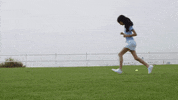 Animal Planet GIF by Puppy Bowl
