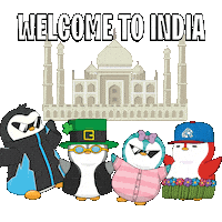 New Delhi India Sticker by Pudgy Penguins