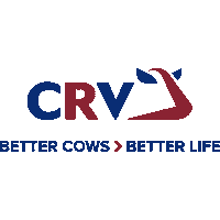 Crv Sticker by Gepec