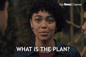What is the plan?