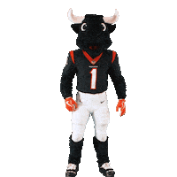 Nfl Mascot Sticker by Houston Texans