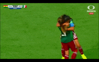 liga mx football GIF by MiSelecciónMX