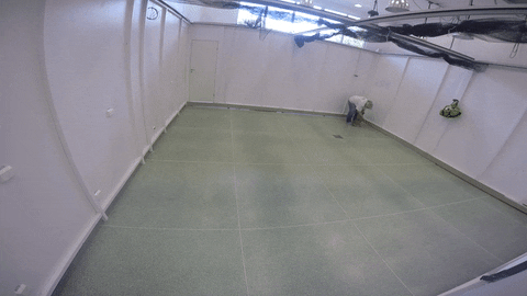 Videnskabdk giphyupload GIF