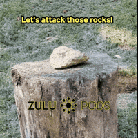 GIF by Zulu Pods