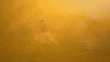 Country Music Love GIF by Kylie Morgan