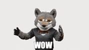 wounews wow wolfie slowclap wou GIF