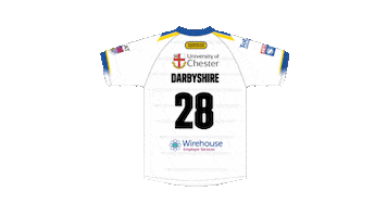 The Wire Sticker by Warrington Wolves