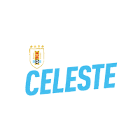 Football Uruguay Sticker by Selección Uruguaya - AUF