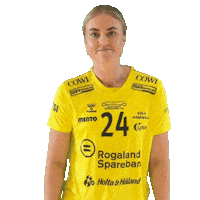 Sola Rema1000Ligaen Sticker by Norsk Topphåndball