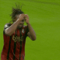 Happy Premier League GIF by AFC Bournemouth