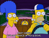 homer simpson GIF