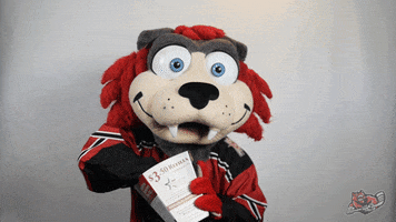 Hockey Popcorn GIF by Huntsville Havoc