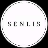 senlis fashion shop senlis shopsenlis GIF
