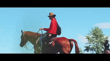 montana GIF