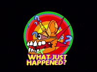 What Just Happened Wtf GIF