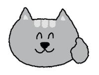 kbhealthcare cat smile top laughter Sticker