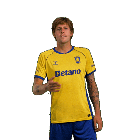 Goalcelebration Sejr Sticker by Brøndby IF