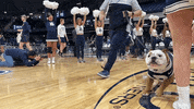 Happy Butler Bulldogs GIF by Butler University