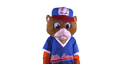 little league world series  2019 sport Sticker by Little League International