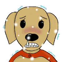 Freezing Winter Solstice Sticker