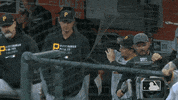 Regular Season Sport GIF by MLB