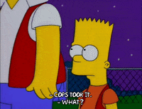 homer simpson GIF