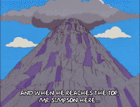 homer simpson team GIF