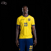 Fifa World Cup Ecuador GIF by Respective