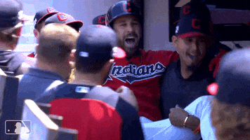 Regular Season Sport GIF by MLB